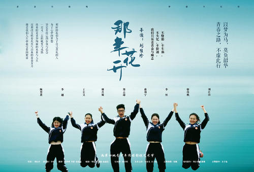 格赖夫斯瓦尔德大学 Design degree certificate